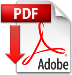 flyerlogopdf