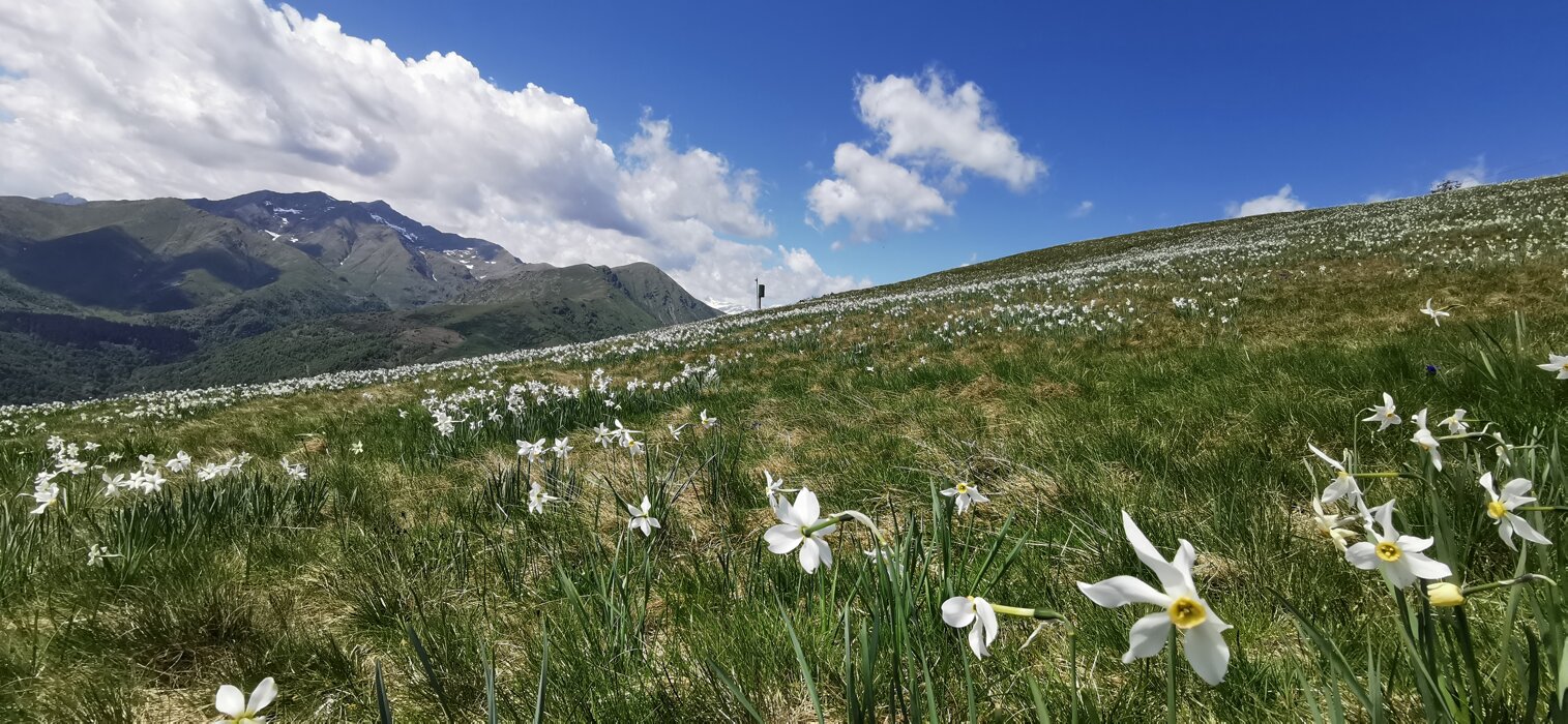 17df5c5d47791f6c234a6dac0ce3b478b3c54422