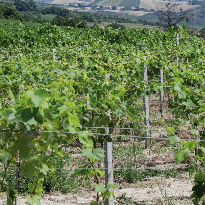 0a8715be-72fe-4a8d-a9fa-d954f63a3c0f 0a8715be-72fe-4a8d-a9fa-d954f63a3c0f