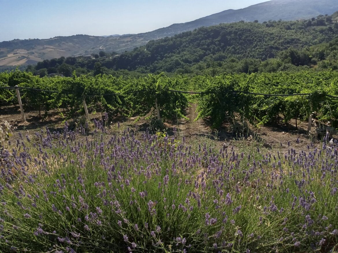 Il risveglio della primavera