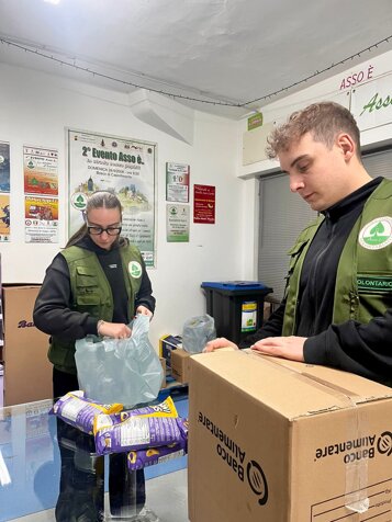 whatsapp image 2026-03-25 at 20.33.41.jpeg