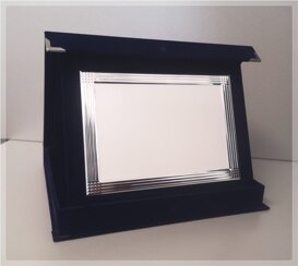 art. 21-m piastra 4.jpeg