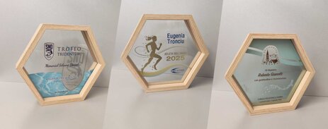 2026 targhe esagonali.jpeg