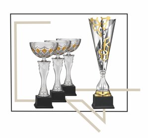 coppe e trofei.jpeg coppe e trofei.jpeg