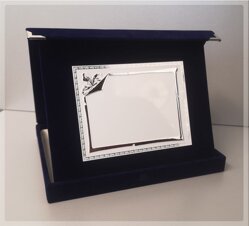 art. 21-p piastra 1.jpeg