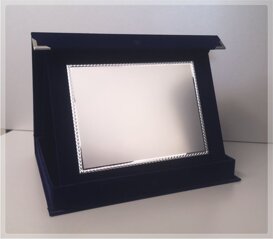 art. 21-m piastra 3.jpeg