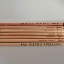 Gadget - matite promozionali con semi da piantare