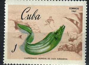 1967%20campionato%20mondiale%20di%20caza%20submarina%20cuba.jpeg