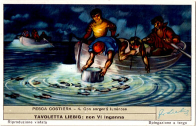 pesca costiera - 4. con sorgenti luminose.jpeg