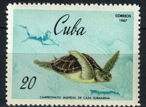 scan2026-06-28_144416%20copia%206.jpeg