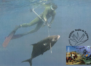 cartolina%20puerto%20madryn%20rep.%20argentina%20caza%20submarina.jpeg