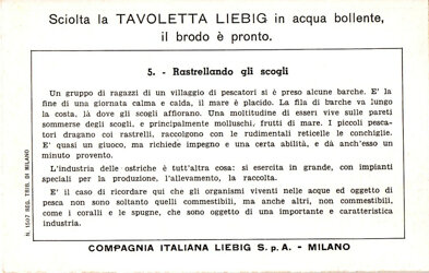 pesca costiera - 5. rastrellando gli scogli back.jpeg
