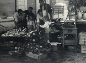 scan2026-04-03_212732.jpeg