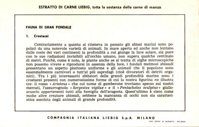 fauna di gran fondale 1. crostacei back.jpeg