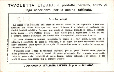 pesca costiera - 6. le nasse back.jpeg