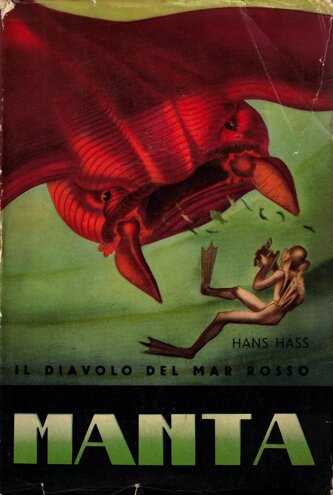 1952 - manta, il diavolo del mar rosso.jpeg