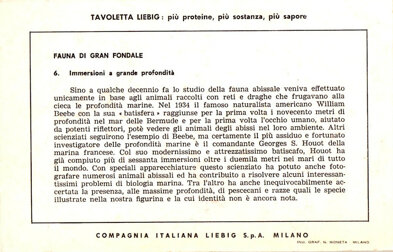 fauna di gran fondale 6. immersioni a grande profondità back.jpeg fauna di gran fondale 6. immersioni a grande profondità back.jpeg