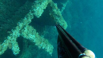 il mio filmato 1.jpeg