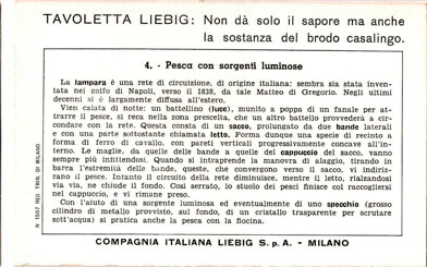 pesca costiera - 4. con sorgenti luminose back.jpeg