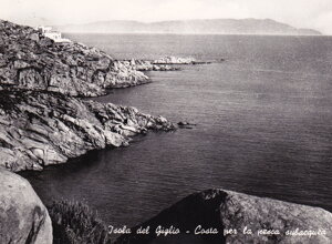 caccia%20subacquea-foto%20panaria%20film.jpeg caccia%20subacquea-foto%20panaria%20film.jpeg