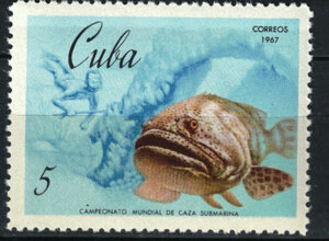 scan2026-06-28_144416%20copia%204.jpeg