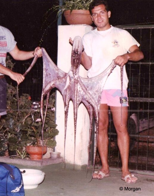 dario 1990.jpeg dario 1990.jpeg