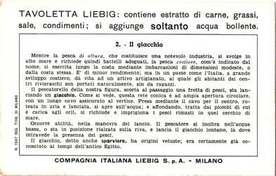 pesca costiera - 2. il giacchio back.jpeg