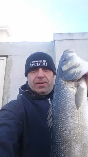 20141209_133116 copia.jpeg