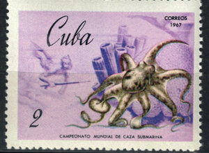 scan2026-06-28_144416%20copia.jpeg