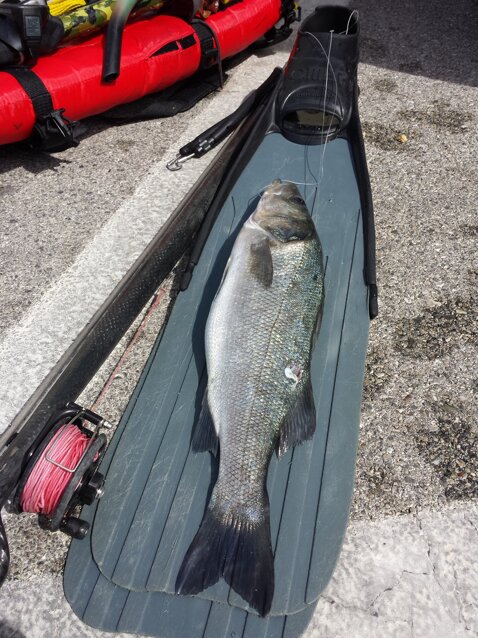 20140516_105030.jpeg