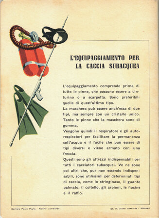 l'equipaggiamento per la caccia subacquea - 2.jpeg l'equipaggiamento per la caccia subacquea - 2.jpeg