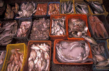 a7cf5f8ef00e73ca6ca46334b537b664f459abec