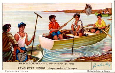 pesca costiera - 5. rastrellando gli scogli.jpeg