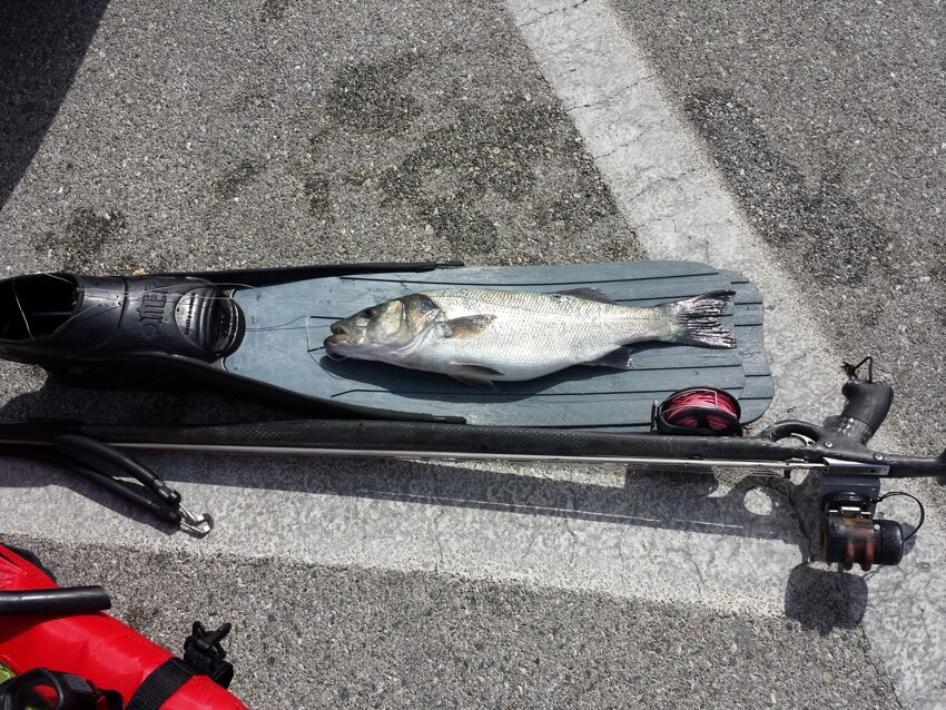 20140516_105018.jpeg