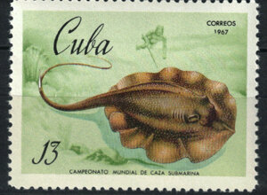 scan2026-06-28_144416%20copia%205.jpeg
