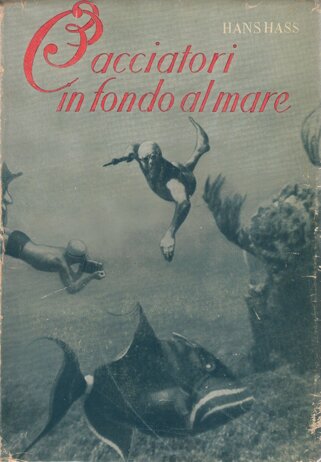 d9efc8799d09d58f002563b272e267dbc3e877d8