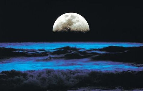 dbbe63436ddbd4b68f0e0115e96afc3c0463bfca.jpeg