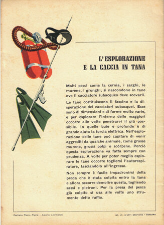 l'esplorazione e la caccia in tana - 2.jpeg l'esplorazione e la caccia in tana - 2.jpeg