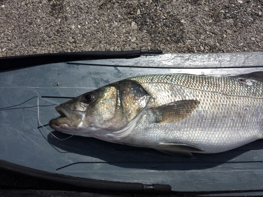 20140516_105024.jpeg