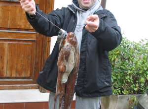 1990%20-%20%20luglio%20kg%205.500%20pulito%20copia.jpeg
