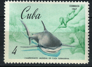 scan2026-06-28_144416%20copia%203.jpeg