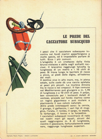 le prede del cacciatore subacqueo - 2.jpeg le prede del cacciatore subacqueo - 2.jpeg