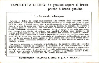 pesca costiera - 1. la caccia subacquea back.jpeg