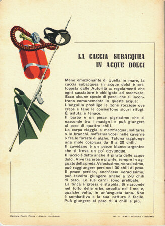 la caccia subacquea in acque dolci - 2.jpeg la caccia subacquea in acque dolci - 2.jpeg