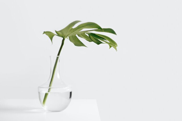 sarah-dorweiler-m2j105czeau-unsplash