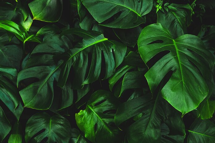 josefin-ws5yjfjycny-unsplash