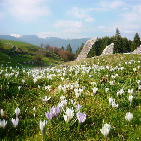 foto heart and soul - hero - about us.jpeg