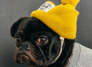 d0d99d1eab8e82392d4cd5d9e749c103