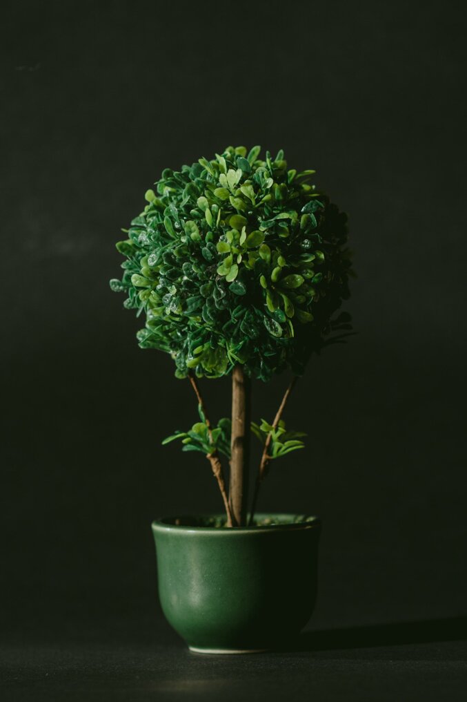 nagy-arnold-xivvduhvdq-unsplash nagy-arnold-xivvduhvdq-unsplash