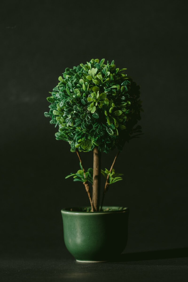 nagy-arnold-xivvduhvdq-unsplash